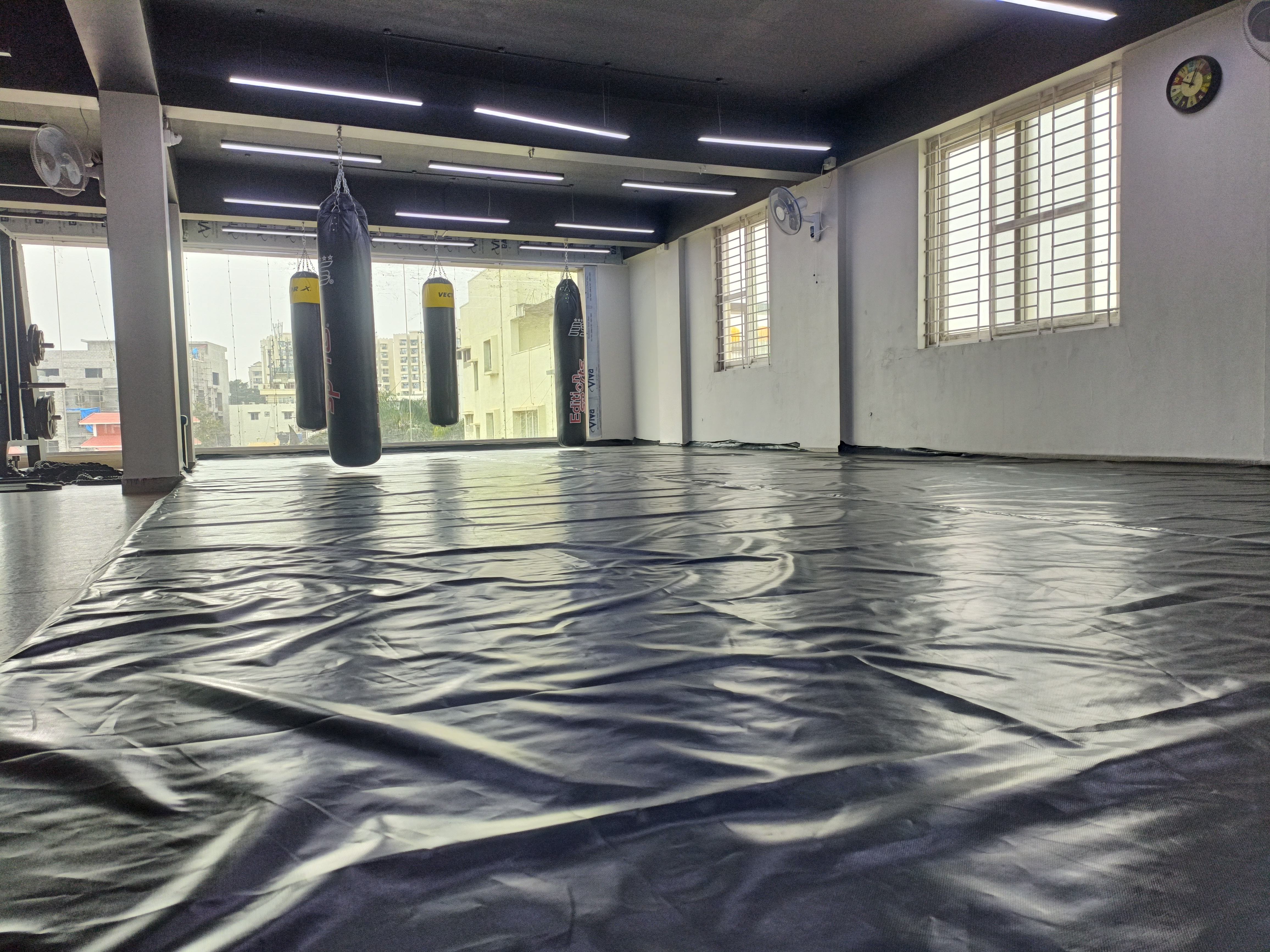 Grapple Haven gym facility