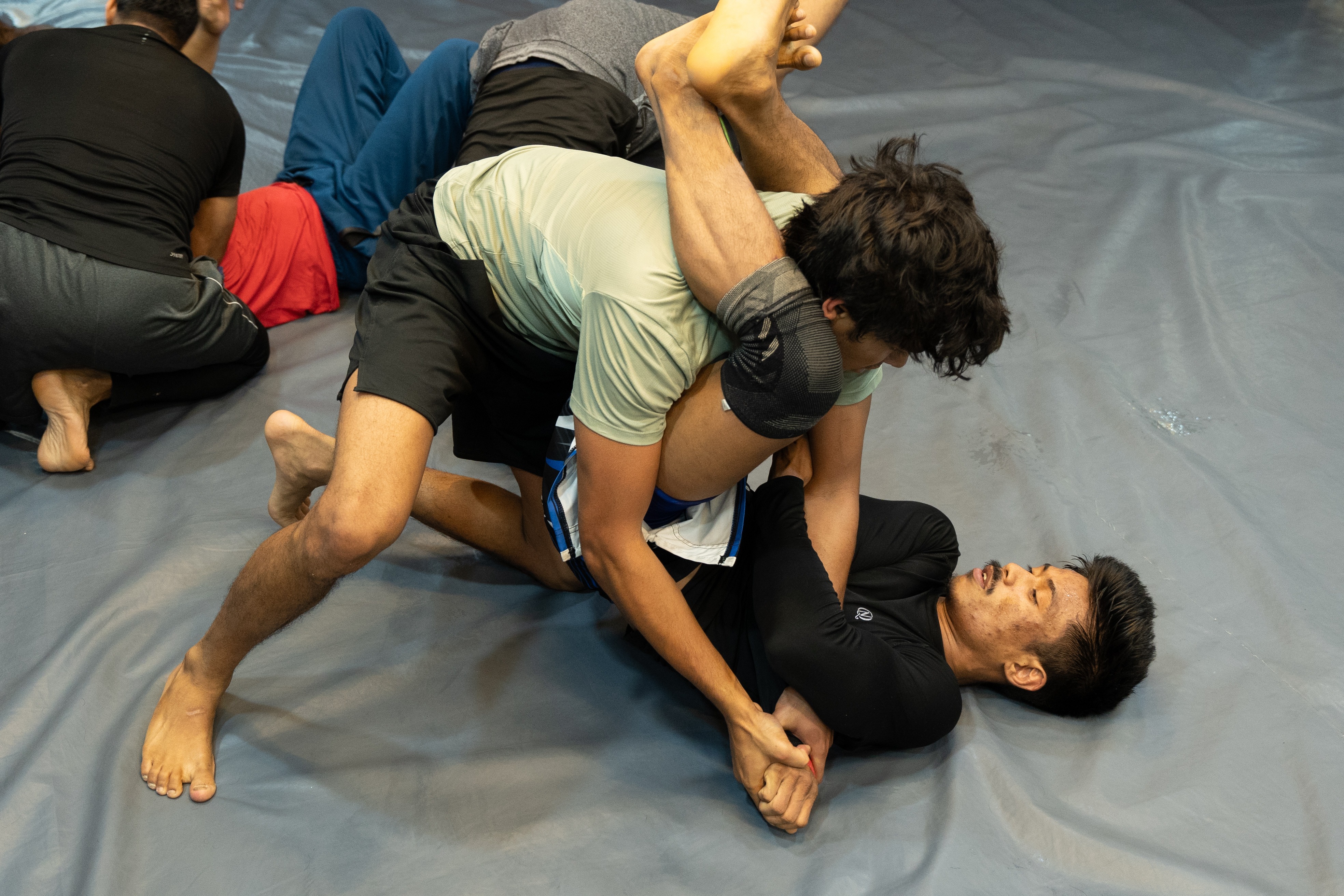 Ground work training session